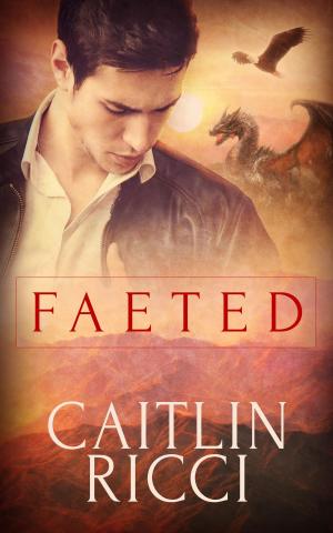 Cover of the book Faeted: A Box Set: A Box Set by Samantha Winston