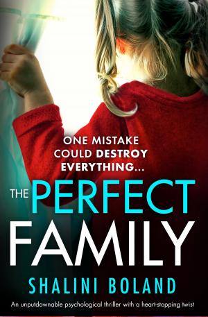 Cover of the book The Perfect Family by Debbie Viggiano