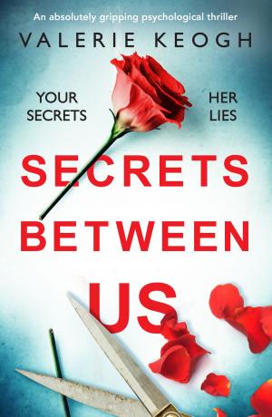 Cover of the book Secrets Between Us by Helen Pollard