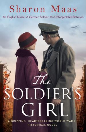 Cover of the book The Soldier's Girl by C.J. Daugherty