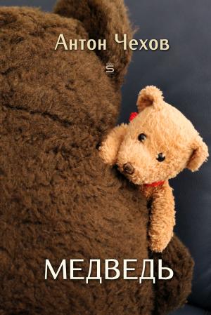 Cover of the book The Bear by A. H. Sayce