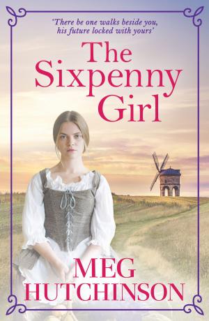 Cover of the book Sixpenny Girl by Clare Carson