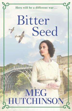 Cover of the book Bitter Seed by Brenda McCreight
