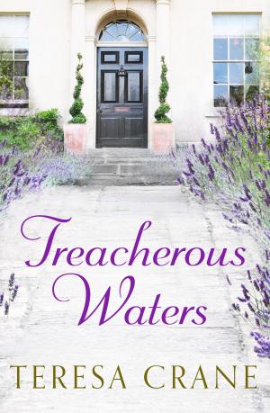 Cover of the book Treacherous Waters by Elizabeth Murphy