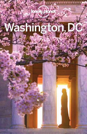 Cover of the book Lonely Planet Washington, DC by Lonely Planet, Lindsay Brown, Bradley Mayhew