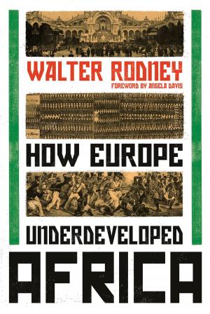 Cover of the book How Europe Underdeveloped Africa by V.I. Lenin