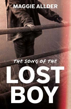 Cover of the book The Song of the Lost Boy by Desmond Eccles
