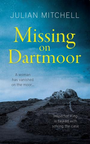 Cover of the book Missing on Dartmoor by Liz Riley Jones
