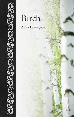 Cover of the book Birch by Elizabeth E. Guffey
