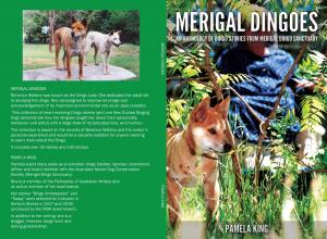 bigCover of the book Merigal Dingoes by 