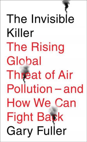 Book cover of The Invisible Killer