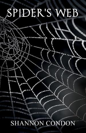 Cover of the book Spider's Web by Zane Newitt