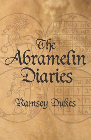 Cover of the book The Abramelin Diaries by Aaron B. Daniels