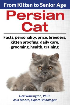Book cover of Persian Cat: From Kitten to Senior Age