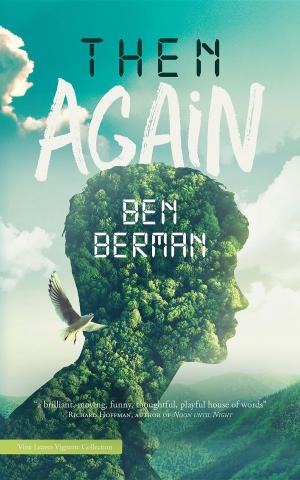 Cover of the book Then Again by Bauke Kamstra