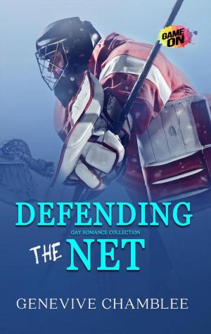 Cover of the book Defending the Net by Ann Grech