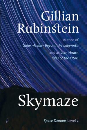 Book cover of Skymaze