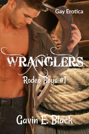 Cover of the book Wranglers: Rodeo Boys #1 by Sara J. Miller