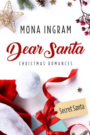 Cover of the book Secret Santa by Leta Gail Doerr