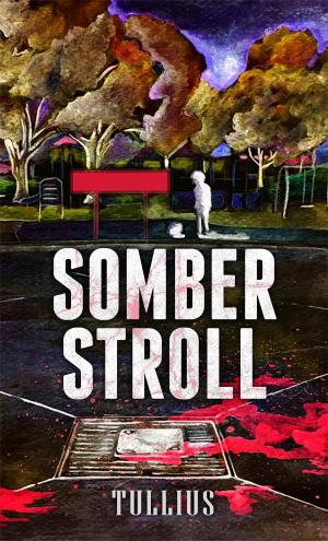 Book cover of Somber Stroll: Five Horror Stories