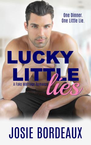 Cover of the book Lucky Little Lies by M. Jane Colette