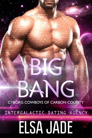 Cover of the book Big Bang by Beth Barany