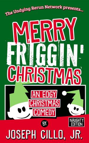 Cover of the book Merry Friggin' Christmas: An Edgy Christmas Comedy, Naughty Edition by Steve Vernon