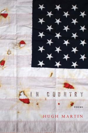Book cover of In Country