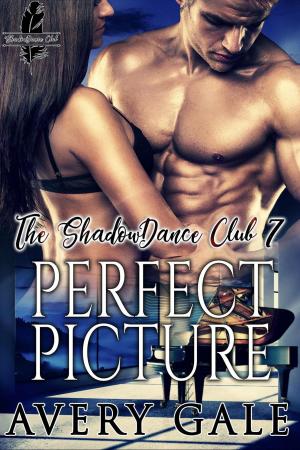 Cover of Perfect Picture