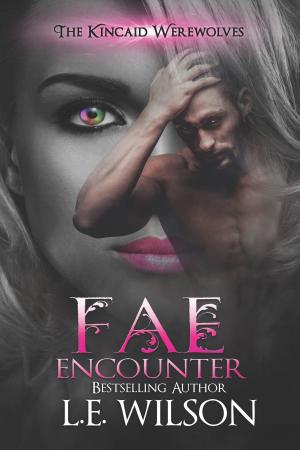 Book cover of Fae Encounter