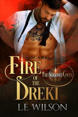 Cover of the book Fire of the Dreki by René Danning