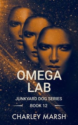 bigCover of the book Omega Lab by 