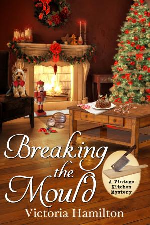Cover of the book Breaking the Mould by Kristy Tate