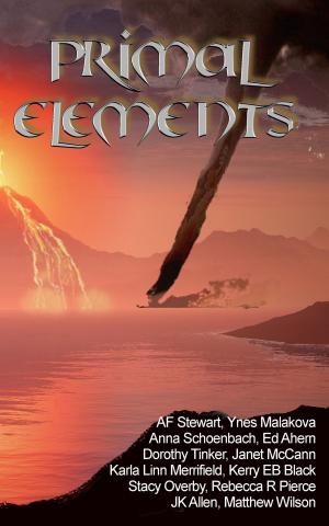 Cover of the book Primal Elements by Leonid Epaneshnikov