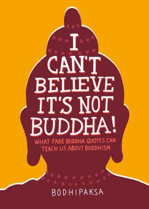 Cover of the book I Can't Believe It's Not Buddha! by Julie M. Elman