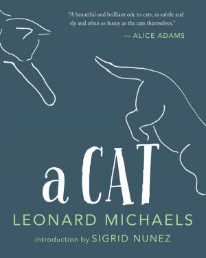 bigCover of the book A Cat by 