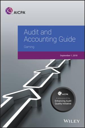 Cover of the book Audit and Accounting Guide by Markus Burger, Bernhard Graeber, Gero Schindlmayr