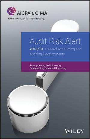 Book cover of Audit Risk Alert: General Accounting and Auditing Developments 2018/19