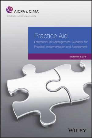 Book cover of Practice Aid: Enterprise Risk Management