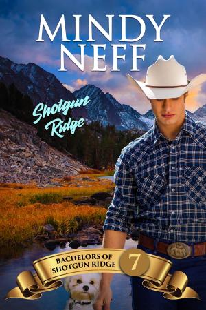 Book cover of Shotgun Ridge