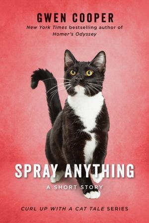 Cover of the book Spray Anything by Joe Sweeney