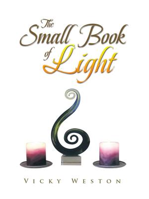 Cover of the book The Small Book of Light by Linda Key
