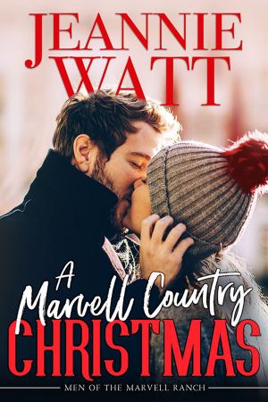 Cover of the book A Marvell Country Christmas by Janelle Jalbert