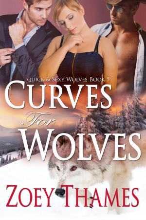 Cover of the book Curves for Wolves by Erzabet Bishop