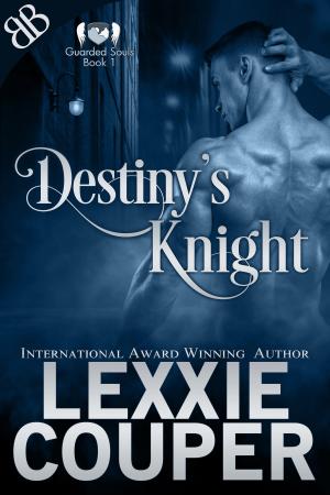 Cover of the book Destiny's Knight by Lisa Emme