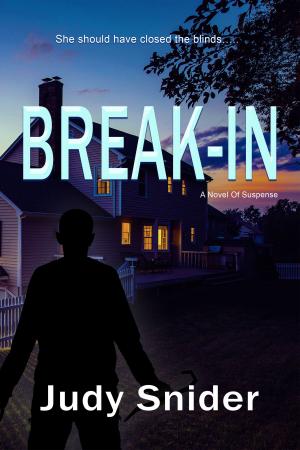 Cover of the book Break-In by Erik Daniel Shein, Melissa Davis