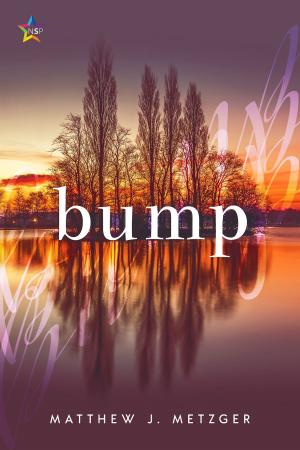 Cover of the book Bump by RL Mosswood