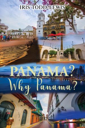 Cover of the book Panama? Why Panama? by Mary  Nyambura Muchiri