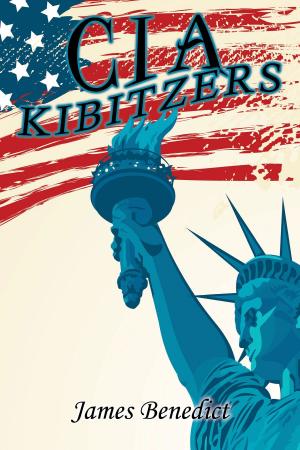 Cover of the book CIA KIBITZERS by EDMUND R. JOHNSON