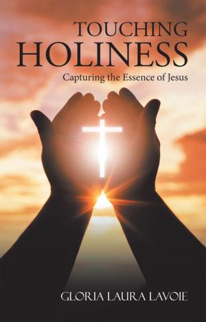 Cover of the book Touching Holiness by Julie Dectis